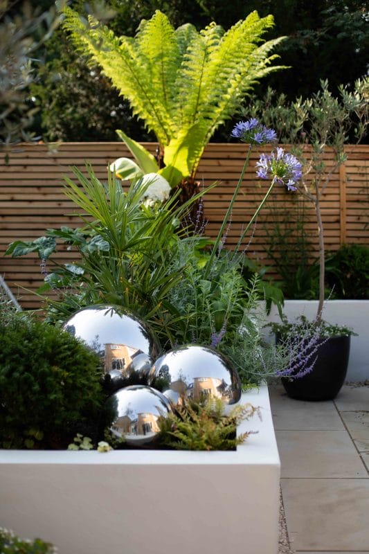 gardening garden design landscaping Surrey contemporary garden raised bed sculpture palm tree 