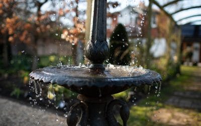 Taking Inspiration from French Formal Gardens