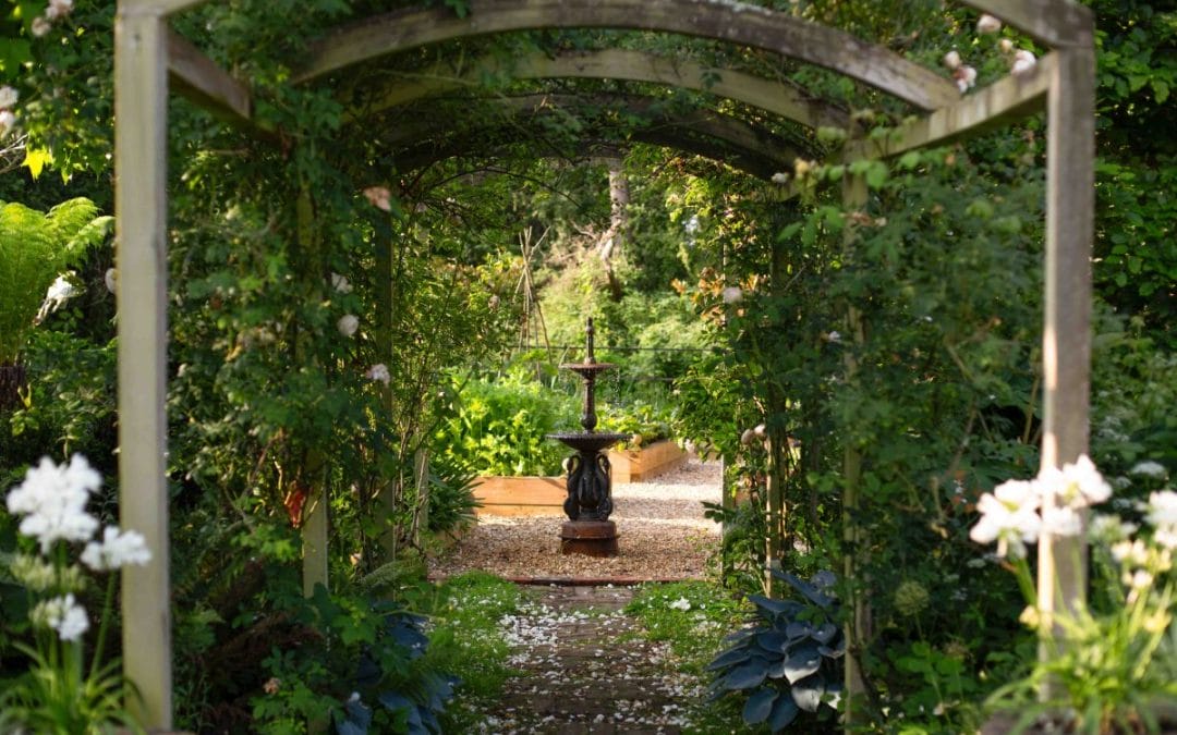 gardening garden design landscaping Surrey West Sussex fountain rose arch