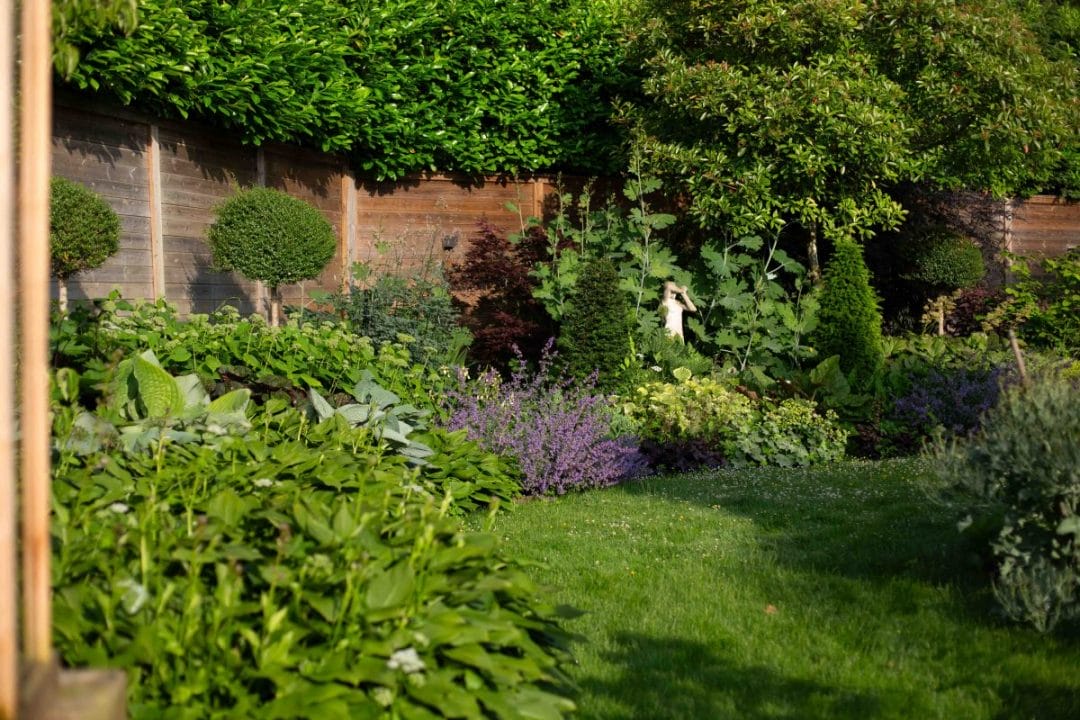 gardening garden design landscaping Surrey West Sussex September autumn