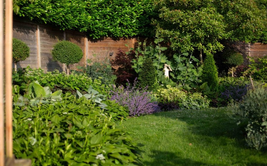 How to Create a Cottage Garden