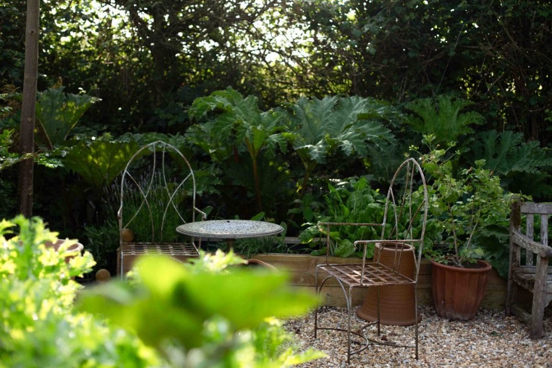 gardening garden design landscaping Surrey West Sussex September autumn iron chairs