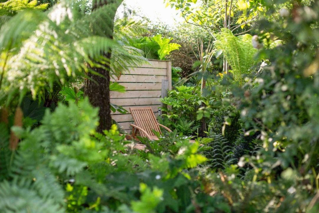 gardening garden design landscaping Surrey West Sussex sun terrace tree palms September autumn