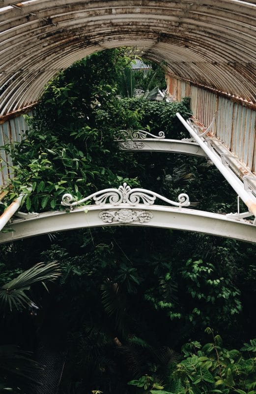 gardening garden design landscaping Surrey West Sussex Kew Gardens greenhouse historic gardens