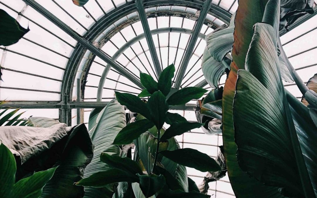 Spotlight on Historic British Gardens for Inspiration