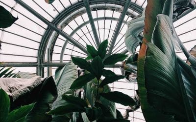 Spotlight on Historic British Gardens for Inspiration