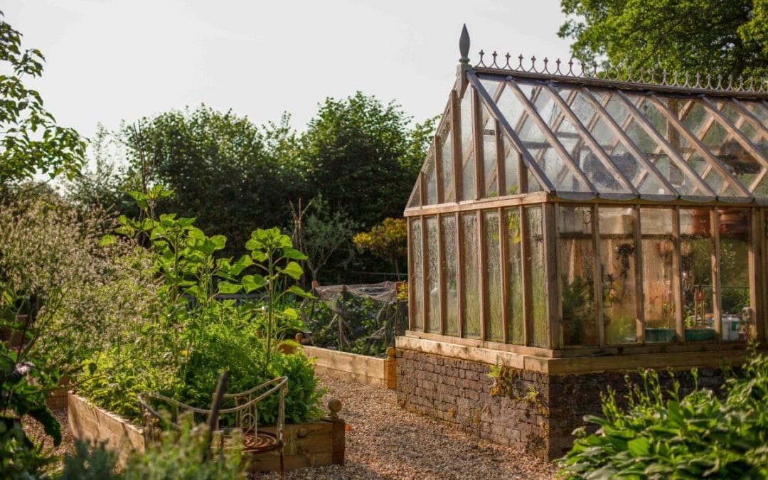 gardening garden design landscaping Surrey West Sussex vegetable patch kitchen garden autumn garden inspiration greenhouse