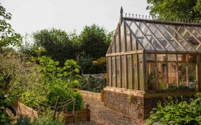 Year-Round Vegetable Garden Calendar