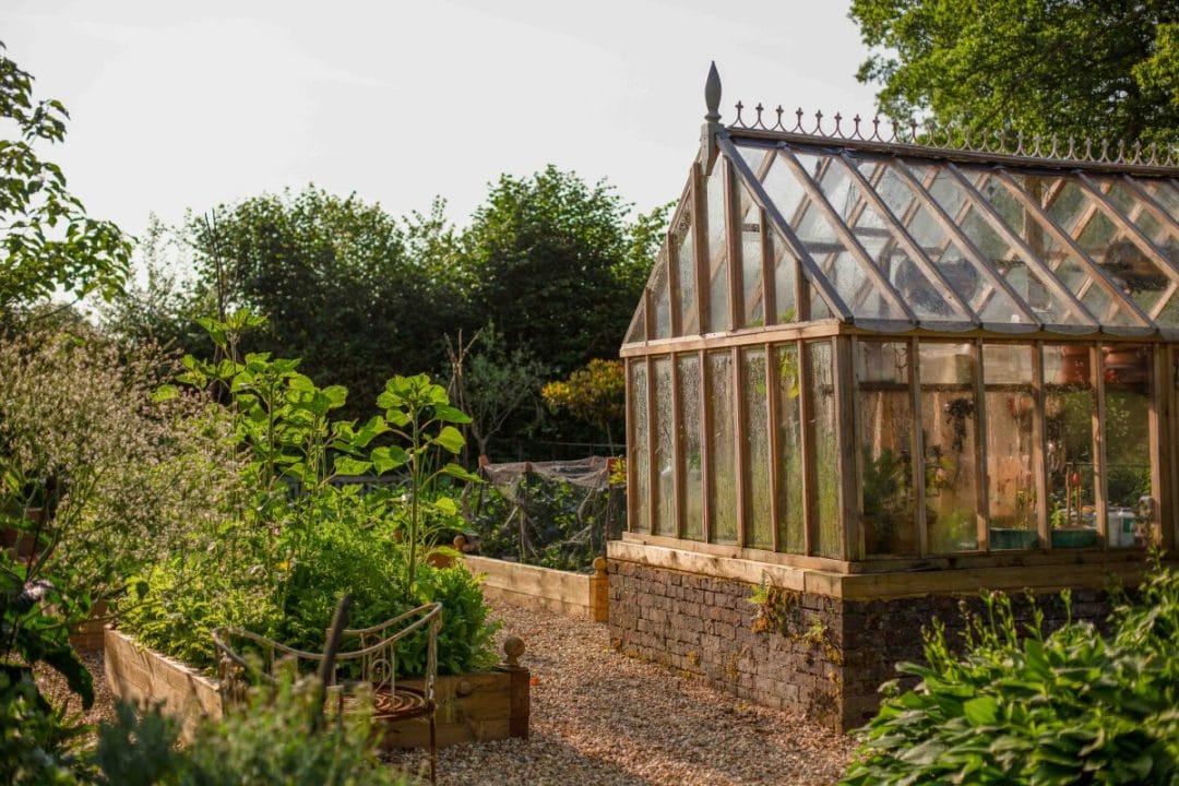 gardening garden design landscaping Surrey West Sussex vegetable patch kitchen garden autumn garden inspiration greenhouse