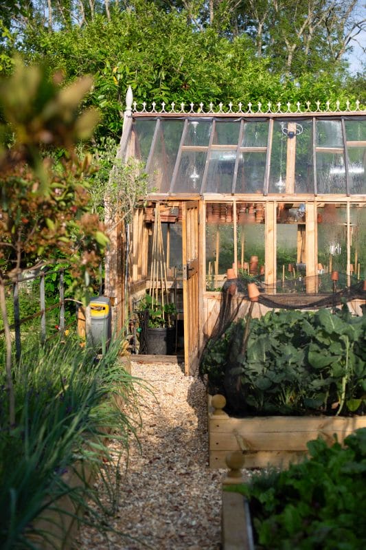 Vegetable Patch gardening garden design landscaping Surrey West Sussex vegetable patch kitchen garden greenhouse autumn garden inspiration
