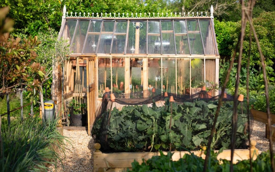 gardening garden design landscaping Surrey West Sussex greenhouse vegetable patch kitchen garden cutting garden garden inspiration autumn gardening