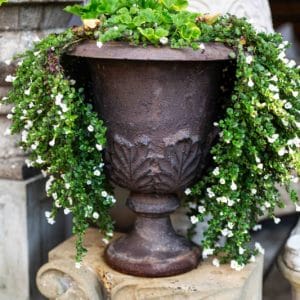Pair of Antique Cast Iron Garden Urns with Leaf Motif