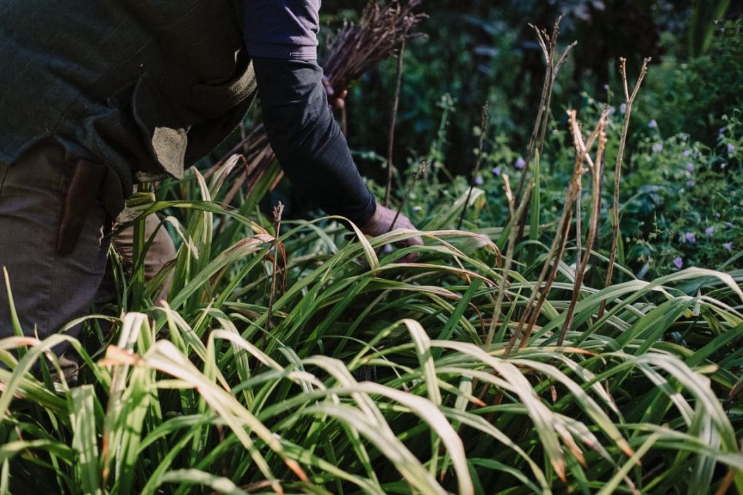 gardening garden design landscaping horticulture Surrey West Sussex November winter autumn reset clearing autumn gardening garden inspiration