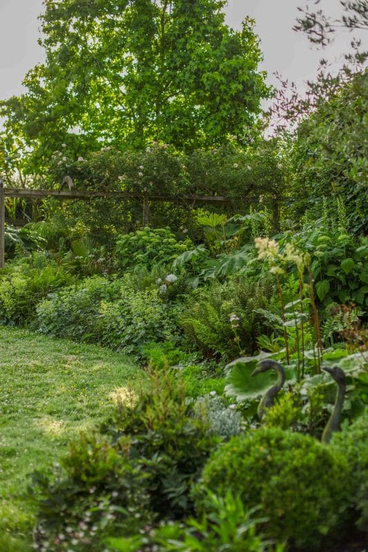 gardening garden design landscaping Surrey West Sussex Hampshire flower bed garden bed autumn garden garden inspiration common gardening problems 