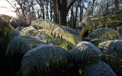 How to Keep Your Garden Looking Interesting All Year Round