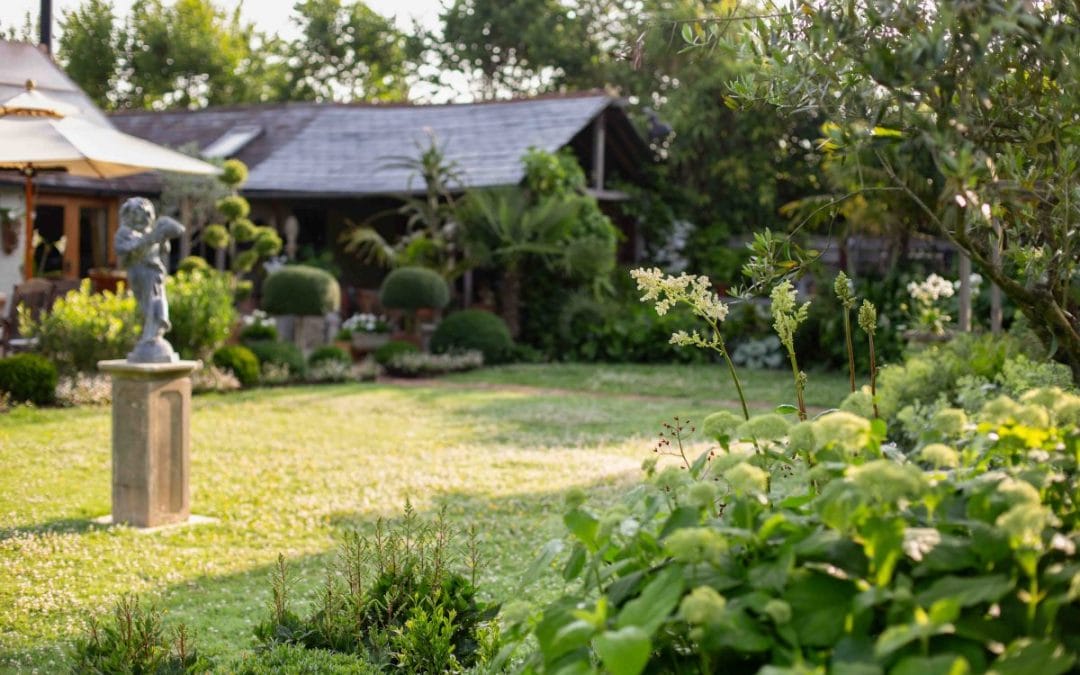 gardening garden design landscaping Surrey West Sussex Hampshire garden inspiration common garden problems