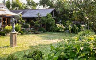 Solving Common Gardening Problems