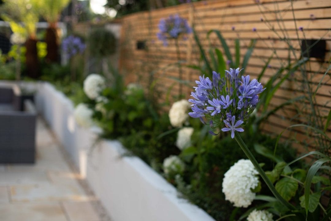 gardening garden design landscaping horticulture Surrey West Sussex flower bed raised bed increasing property value allium fence patio 