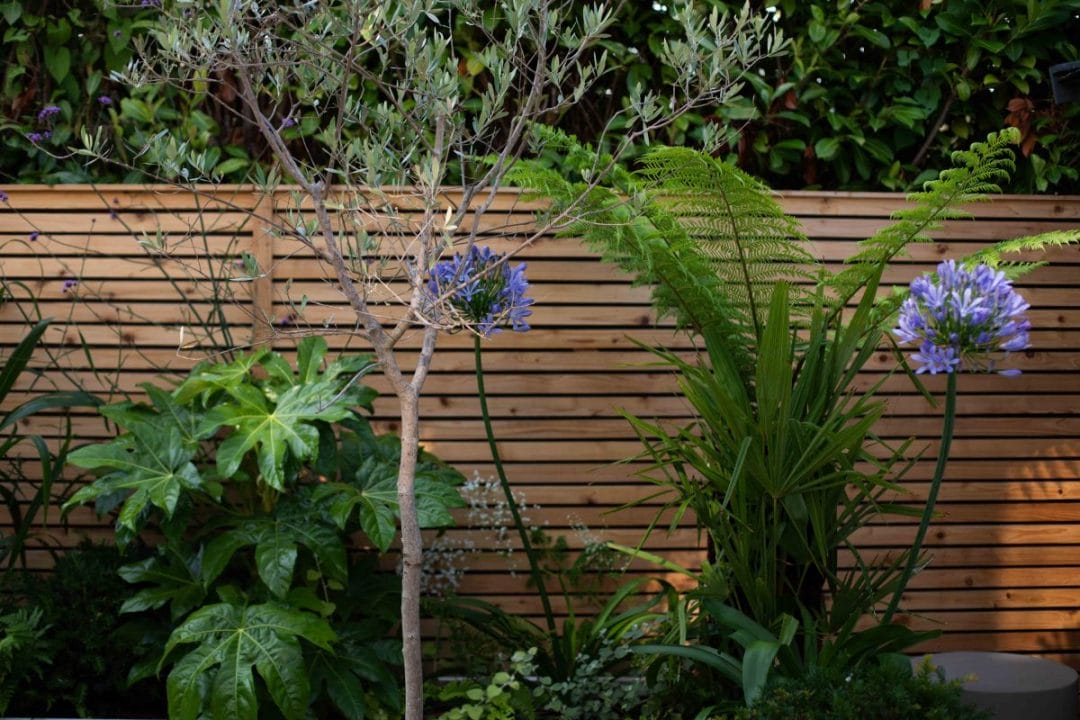 gardening garden design landscaping horticulture Surrey West Sussex low maintenance garden design