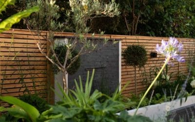 Low-Maintenance Summer Gardens: Design Ideas for Busy Homeowners