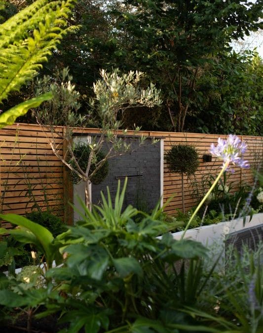 gardening garden design landscaping Surrey West Sussex common uk garden problems shady garden raised beds alliums water feature fountain palm tree