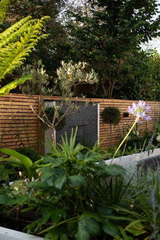 Common Garden Problems gardening garden design landscaping Surrey West Sussex common uk garden problems shady garden raised beds alliums water feature fountain palm tree