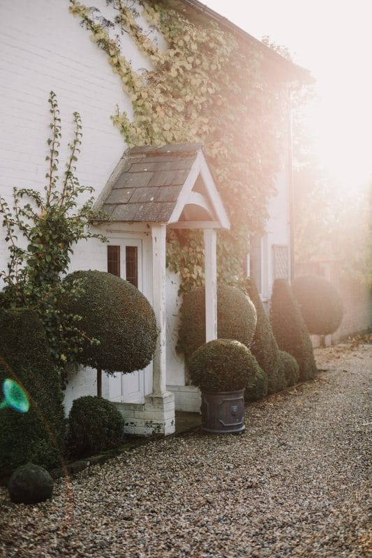gardening garden design landscaping Surrey West Sussex structural planting year round interest evergreens