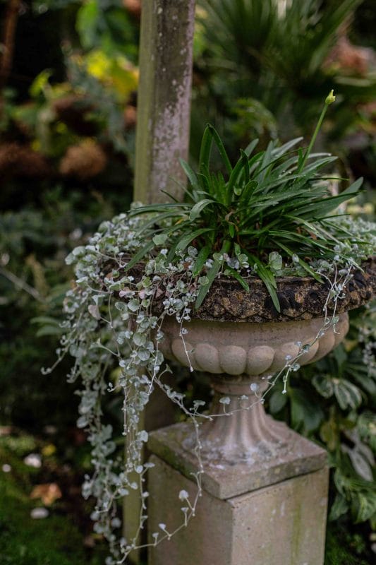 Pair of Composite Stone Garden Urns on Square Pedestals - Image 3