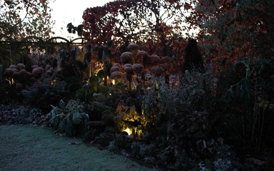gardening garden design landscaping horticulture Surrey West Sussex lighting garden uplighting