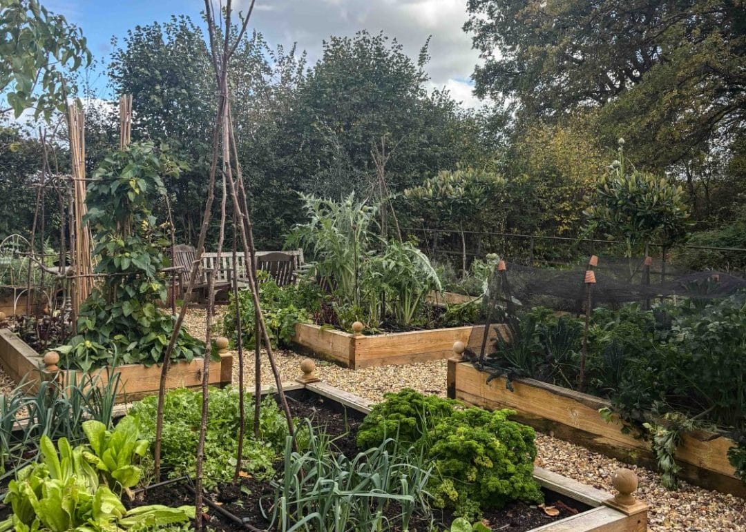 gardening garden design landscaping horticulture Surrey West Sussex vegetable patch kitchen garden calendar