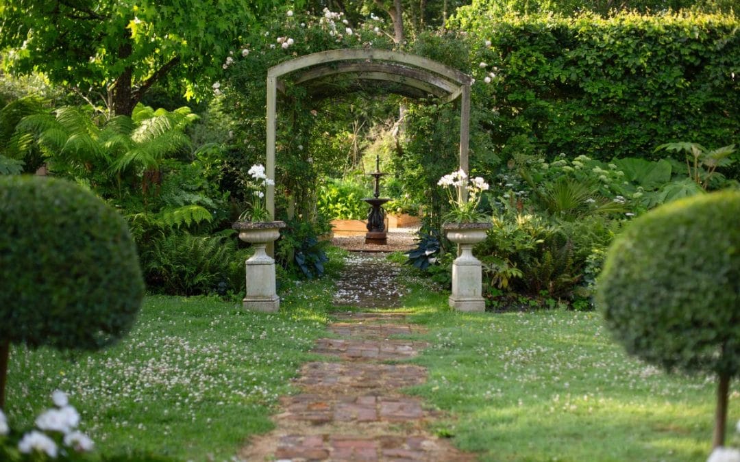 gardening garden design landscaping Surrey West Sussex horticulture structure planting evergreens garden bed layout flower bed