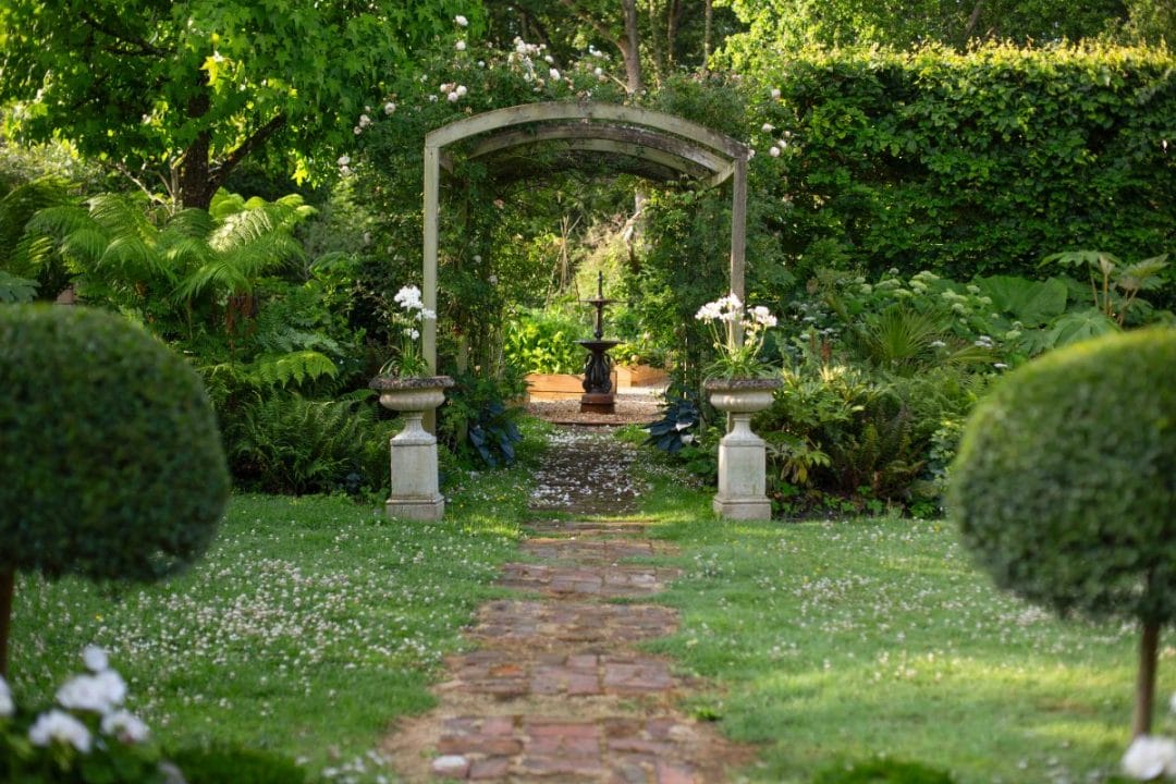 gardening garden design landscaping Surrey West Sussex horticulture structure planting evergreens garden bed layout flower bed