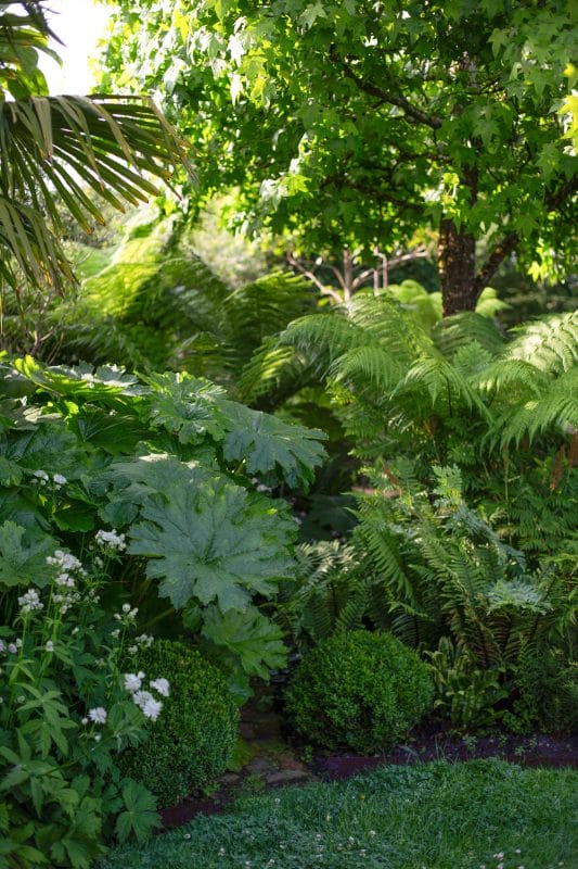 gardening garden design landscaping Surrey West Sussex horticulture structure planting evergreens garden bed layout flower bed