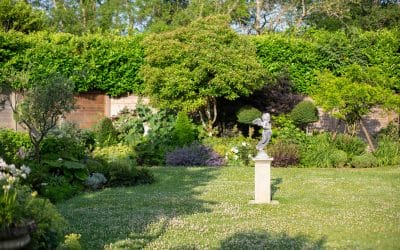 Sustainable Garden Design Choices to Plan for the New Year