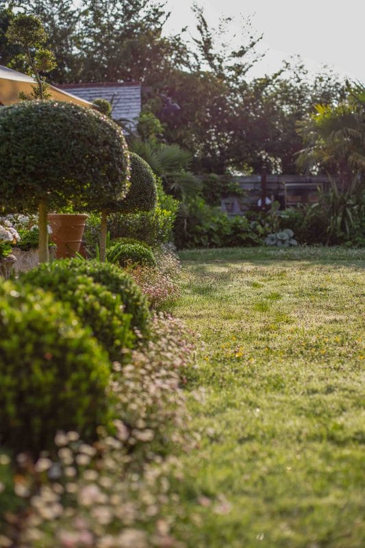 gardening garden design landscaping Surrey West Sussex horticulture structure planting evergreens garden bed layout flower bed