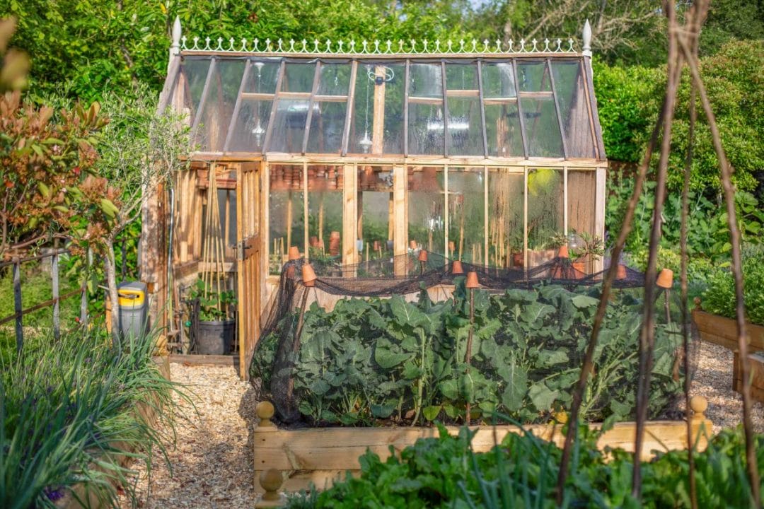 gardening garden design landscaping horticulture Surrey West Sussex veg patch calendar greenhouse plants