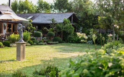 Why Winter Is the Best Time to Plan Your Garden Redesign