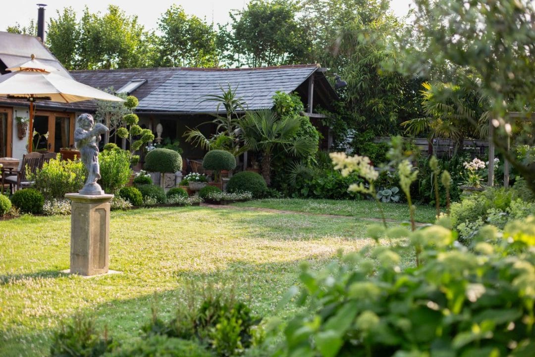 gardening garden design landscaping horticulture Surrey West Sussex winter garden plan redesign for summer