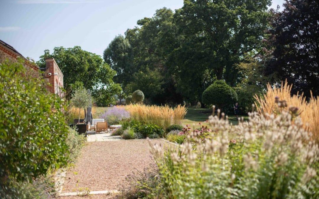 gardening garden design landscaping horticulture near me Surrey West Sussex ornamental grasses long grass winter garden interest structure