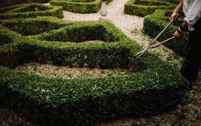 Mistakes to Avoid When Planning a Garden Over Winter