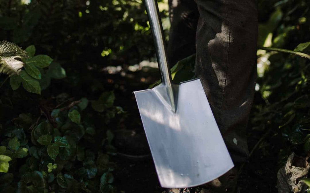 gardening garden design landscaping horticulture Surrey West Sussex spade gardening flower bed spring preparation garden success