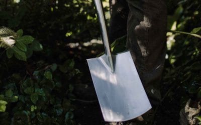 What a Garden Designer Does to Prepare a Garden for Spring Success