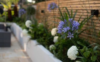 Colour Palettes for a Vibrant Summer Garden