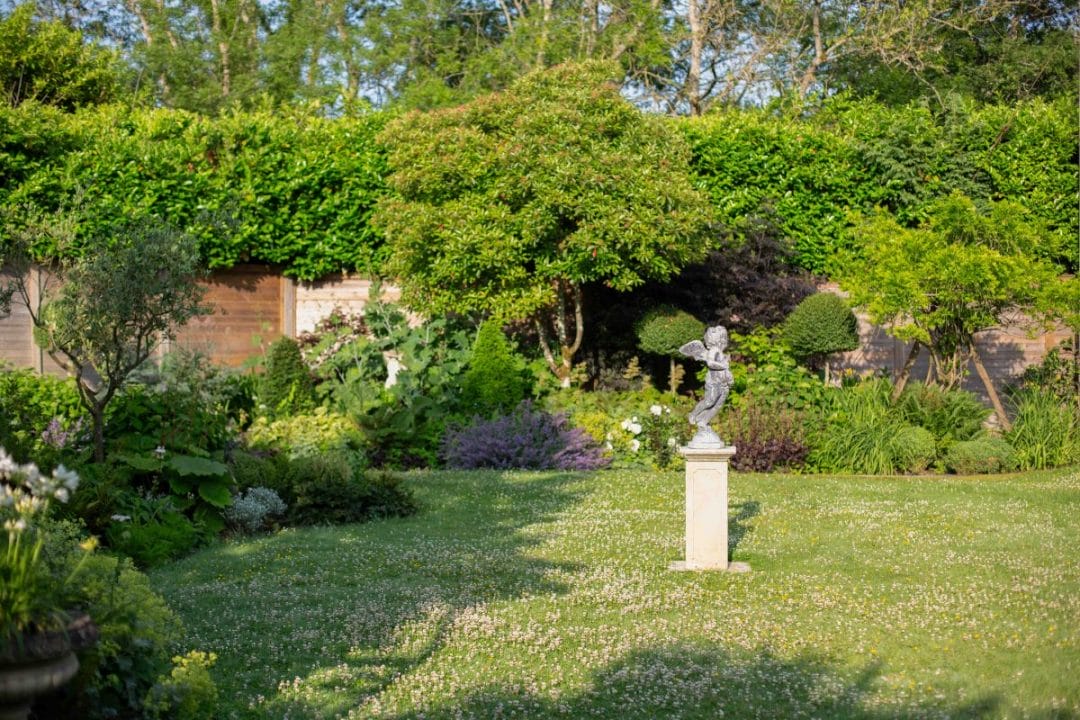 gardening garden design landscaping horticulture Surrey West Sussex fountain water feature topiary buxom taxis cones hedge flower bed fats japonica leaves